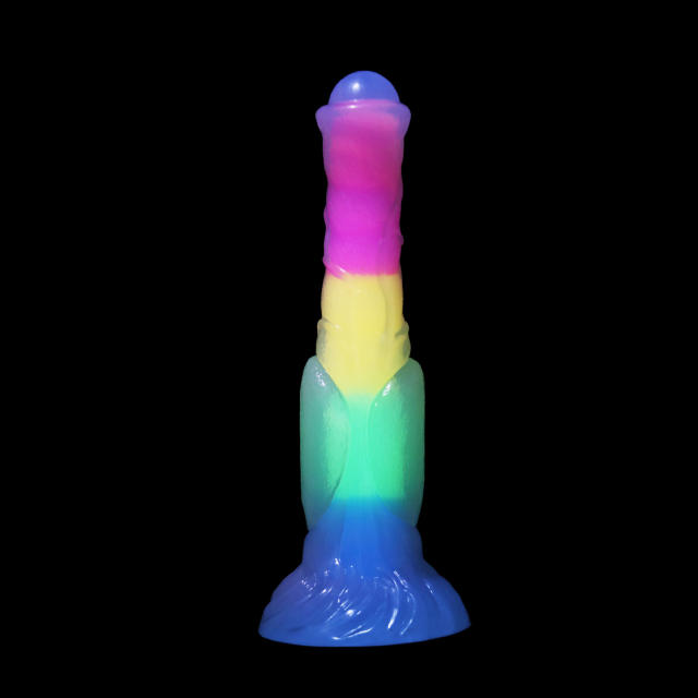 Rainbow Night Glow Double Layer Soft Silicone Dildo